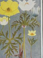 1910 Alpenplantjes Anemonen (sulfurea en Alpina), Antiek en Kunst, Ophalen of Verzenden