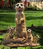 stokstaartje plantensteker 20 bij 14 cm, Verzenden, Halfschaduw, Minder dan 100 cm