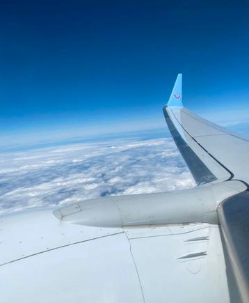 Gezocht: Airline safety cards en schaalmodellen beschikbaar voor biedingen