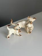 Twee beeldjes van Siamese katten China Bone, Ophalen of Verzenden, Zo goed als nieuw, Dier