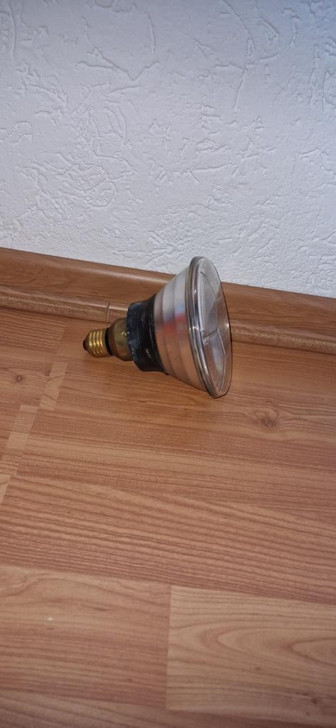 Splendor Spot 80 Watt Lamp, Gebruikt, Gloeilamp, 60 watt of meer, Vintage