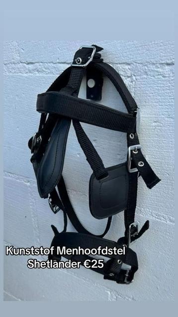 Menhoofdstel Shetland beschikbaar voor biedingen