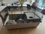 Kooi knaagdier, hamster 60x30 cm, Minder dan 60 cm, Kooi, Minder dan 75 cm, Ophalen of Verzenden