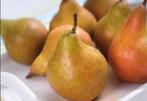 Heerlijke onbespoten appels en peren te koop, Ophalen