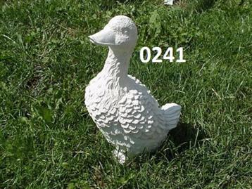 Gans. beschikbaar voor biedingen