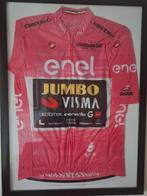 Maglia Rosa Giro d'Italia 2023 Jumbo Visma, Ophalen of Verzenden, Nieuw, Kleding