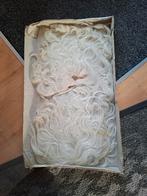 Baard en pruik, Diversen, Sinterklaas, Ophalen, Gebruikt