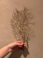 Zeewaaier goud, Huis en Inrichting, Ophalen of Verzenden, Nieuw