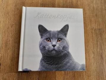 Kattenkopjes beschikbaar voor biedingen