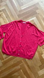 Alexandre Laurent vest roze zgan!, Trui of Vest, Alexandre laurent, Ophalen of Verzenden, Zo goed als nieuw