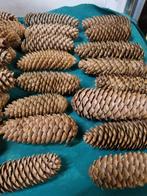 dennenappels langwerpig veel, Ophalen of Verzenden, 'T Olde Gre-j, Info@toldegrej.nl, Endepoelstraat 20f Didam