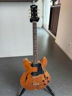 Stanford Crossroads 30 - Prachtige Gitaar!, Muziek en Instrumenten, Ophalen of Verzenden, Zo goed als nieuw, Hollow body, Overige merken