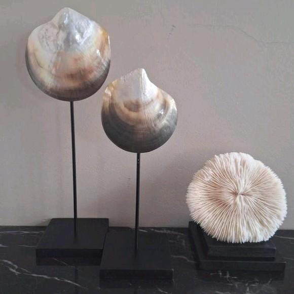 Diverse nieuwe vakkenkast accessoires hotel en japandi chic, Huis en Inrichting, Woonaccessoires | Overige, Nieuw, Ophalen of Verzenden