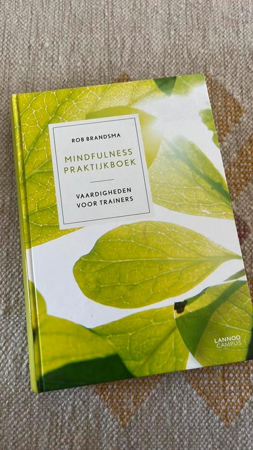 Rob Brandsma - Mindfulness praktijkboek, Boeken, Psychologie, Gelezen, Overige onderwerpen, Ophalen of Verzenden