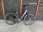 QWIC premium mn7 disc, 51 tot 55 cm, Ophalen of Verzenden, Zo goed als nieuw