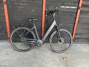 QWIC premium mn7 disc beschikbaar voor biedingen