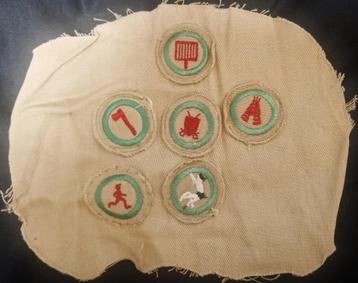 6  verschillende geborduurde scouting patches beschikbaar voor biedingen