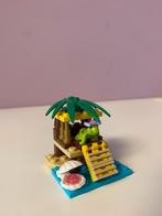 LEGO Friends de vijver van schildpad - 41019, Ophalen of Verzenden, Zo goed als nieuw, Complete set, Lego