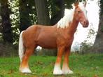 Beeld Paard Blond - 110 cm - Polystone, Ophalen of Verzenden, Kunststof