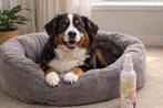 Anti-geurspray voor honden en katten, Ophalen of Verzenden, Nieuw