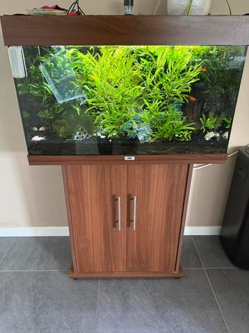 Aquarium met alles er bij beschikbaar voor biedingen