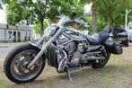 Harley-Davidson VRSC V-Rod V - Rod, Motoren, Motoren | Harley-Davidson, Chopper, Bedrijf, Meer dan 35 kW, 1131 cc