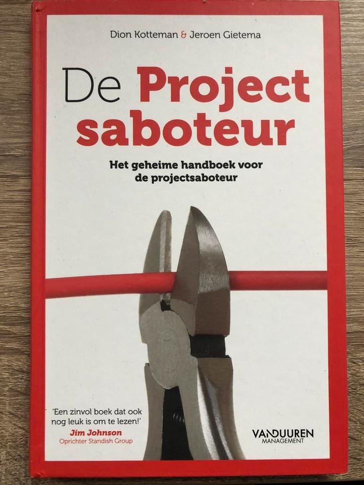 Dion Kotteman - De projectsaboteur, Boeken, Wetenschap, Zo goed als nieuw, Sociale wetenschap, Ophalen of Verzenden
