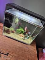 Superfish Aquarium Home 40L Led 47x25x42.5 cm, Dieren en Toebehoren, Vissen | Aquaria en Toebehoren, Ophalen, Leeg aquarium