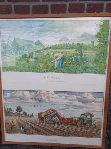 Te koop poster / prent aardappeloogst beschikbaar voor biedingen