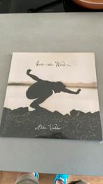 Eddie Vedder - Into the Wild lp vinyl, Ophalen of Verzenden, Nieuw in verpakking