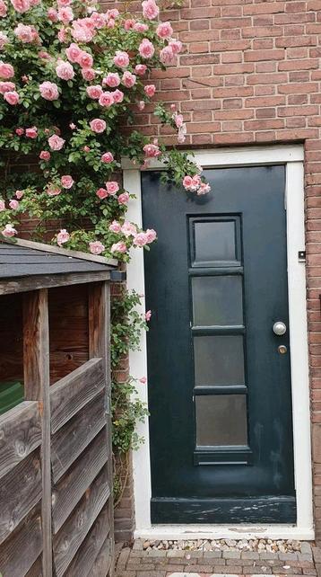 Oude authentieke voordeur, jaren '30 (87,5 cm x 209 cm) beschikbaar voor biedingen