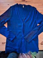 Zeer mooi, hard blauw vestje xl hema, Kleding | Dames, Grote Maten, Ophalen of Verzenden, Zo goed als nieuw, Blauw, Trui of Vest