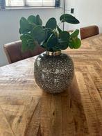 Mooie vaas, Ophalen, Overige kleuren, Minder dan 50 cm, Glas