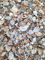 TE KOOP 1,5 M3 GEBROKEN SCHELPEN, Tuin en Terras, Grind, Keien en Split, Ophalen, Zo goed als nieuw, Overige typen