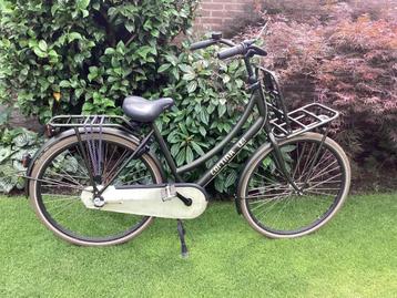 Prachtige CORTINA U4  3v 50 cm !!! beschikbaar voor biedingen