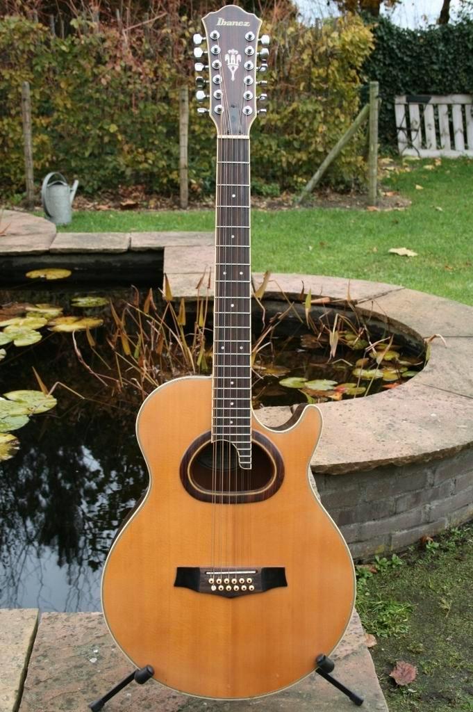 Zeldzame Ibanez Ragtime Special R-402 12-snarig, Muziek en Instrumenten, Snaarinstrumenten | Gitaren | Akoestisch, Gebruikt, Western- of Steelstringgitaar