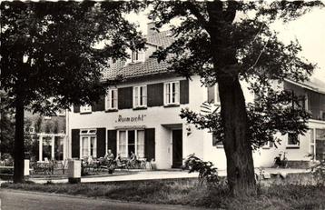 Pension Ruimzicht, Zeddam - 1962 gelopen beschikbaar voor biedingen