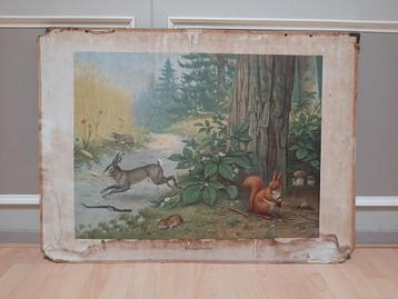 Oude koekkoek schoolplaat  beschikbaar voor biedingen