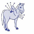 Zadelservice zowel tweedehands en nieuwe zadels. Ruim aanbod, Dieren en Toebehoren, Ophalen of Verzenden, Zo goed als nieuw, Dressuur