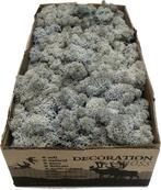 Ijslands Rendiermos in circa 2,5 a 3 kg kleur grijs, Ophalen, Nieuw