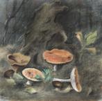 pastel - 'Paddenstoelen in het Bos' - 1953, Ophalen