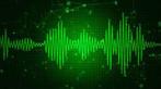 GROTE VERZAMELING SAMPLES WAVE SOUNDS, Ophalen of Verzenden, Nieuw
