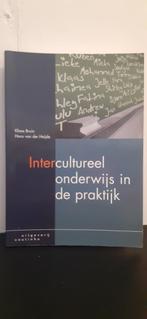 Intercultureel onderwijs in de praktijk Uitgeverij Coutinho., Boeken, Studieboeken en Cursussen, Ophalen of Verzenden, Uitgeverij Coutinho