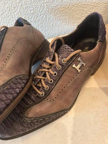 Harris Firenze ( mt.9 )  beschikbaar voor biedingen