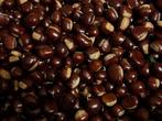 Te koop verse kastanjes uit eigen tuin 2,00 per kilo, Diversen, Levensmiddelen, Ophalen