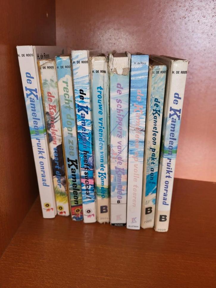 Kameleon Boeken Collectie - H. de Roos, Boeken, Kinderboeken | Jeugd | onder 10 jaar, Gelezen, Fictie algemeen, Ophalen of Verzenden
