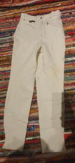 Euro star, rijbroek kinderen, Dieren en Toebehoren, Kinderen, Dressuur, Zo goed als nieuw, Onderkleding