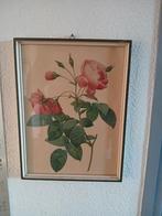 Schilderijen, Antiek en Kunst, Ophalen