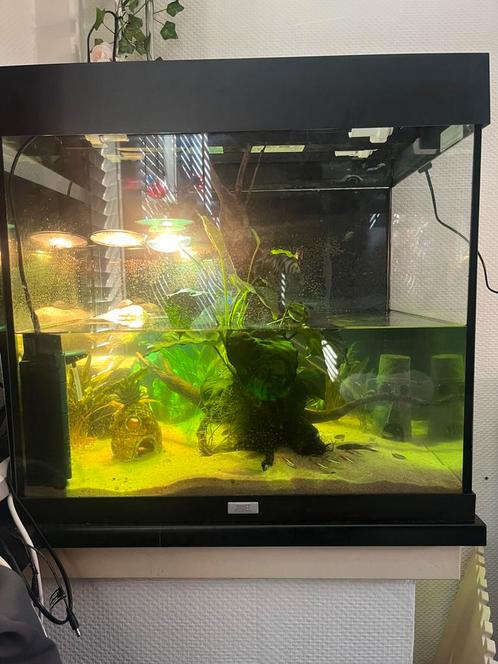 Juwel lido 120, Dieren en Toebehoren, Vissen | Aquaria en Toebehoren, Zo goed als nieuw, Gevuld zoetwateraquarium, Ophalen