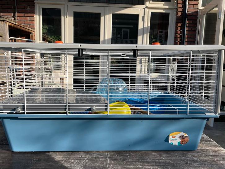 Topper!! Dwerghamster kooi ALLES erbij! Ook hooi en voer!, Dieren en Toebehoren, Knaagdieren en Konijnen | Hokken en Kooien, Gebruikt